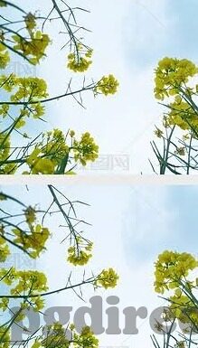 足球动画比分在线-足球动画比分在线，虚拟绿茵场的激情与数据盛宴